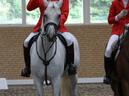 IMG_1110_web